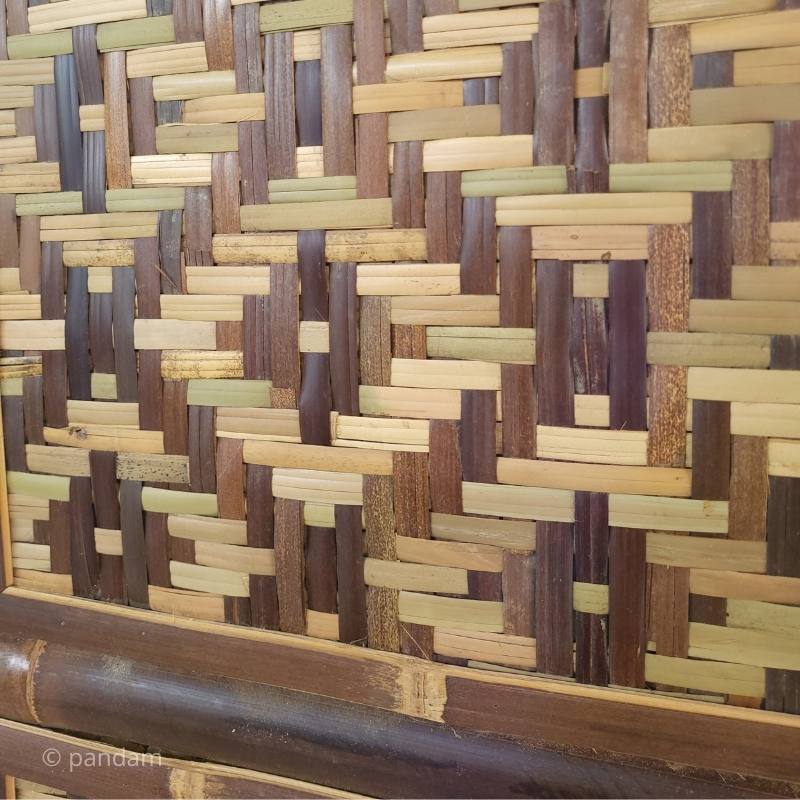 bar bambou graphisme