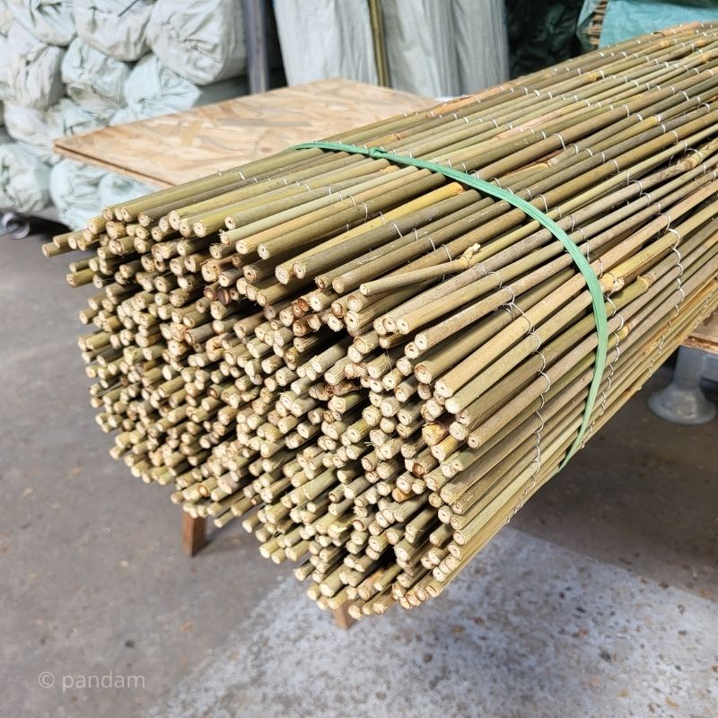 canisse en bambou entier