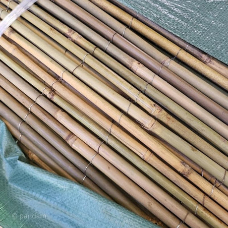 Canisse en bambou entier haute qualité | Rouleau de 6 mètres