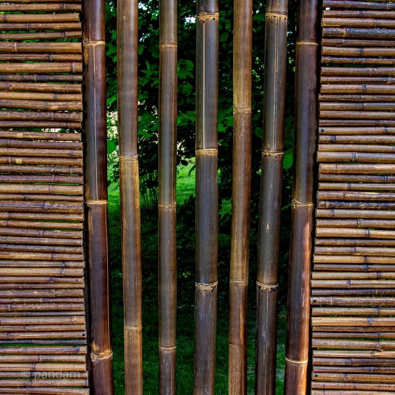 Tige de bambou noire à marron | Intérieur ou extérieur