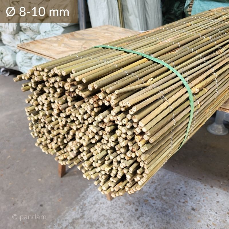 canisse bambou entier