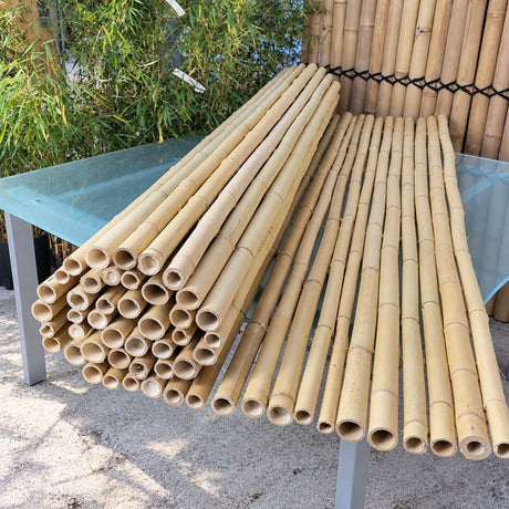 Cloture bambou claire 2m