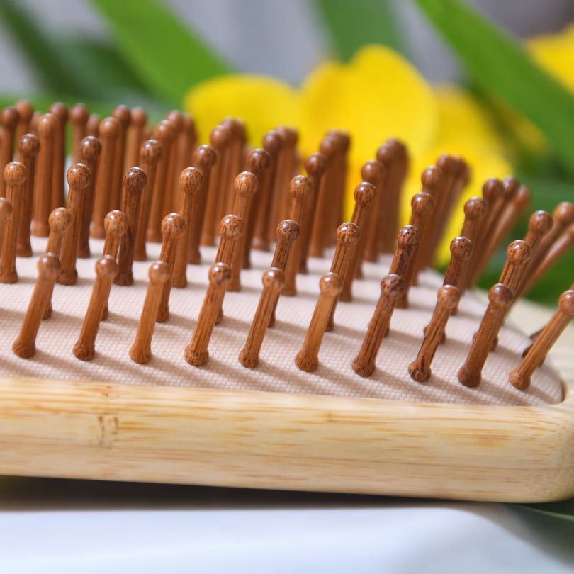Picots de la brosse en bambou