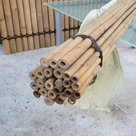 1 bâton en bambou de 200 cm avec un diamètre fin de 1,8 à 2 cm – Tige en bambou Tonkin de 2 m de long 1 bâton en bambou de 200 cm avec un diamètre fin de 1,8 à 2 cm – Tige en bambou Tonkin de 2 m de long