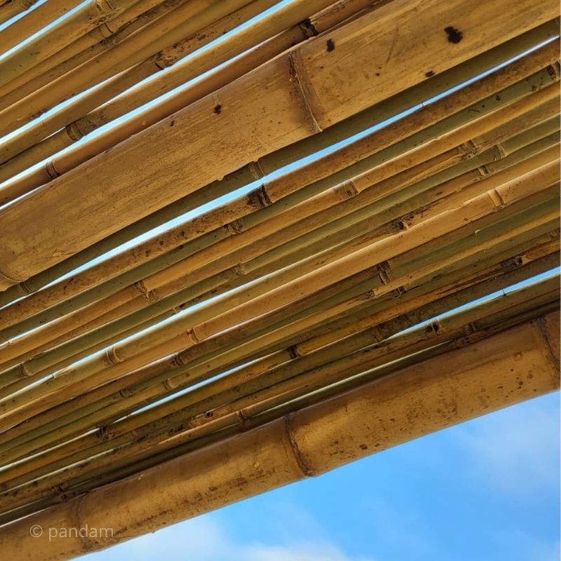 toit tonnelle en bambou