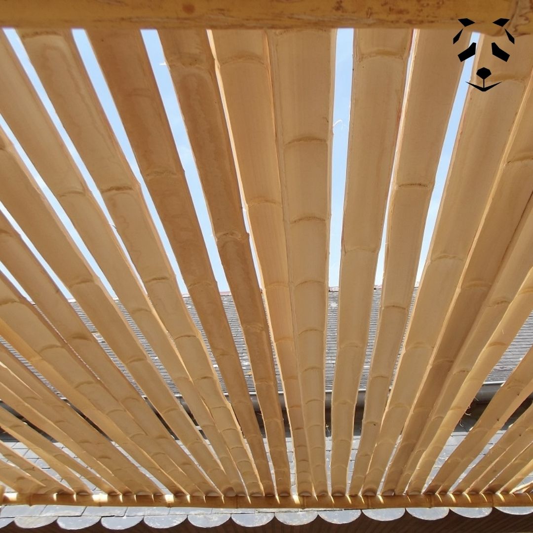 Pergola en bambou DIY